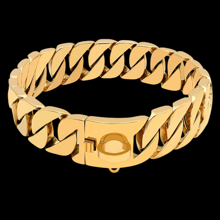 Phat Gold Chain Collar