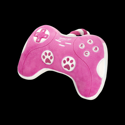 Video Game Controller